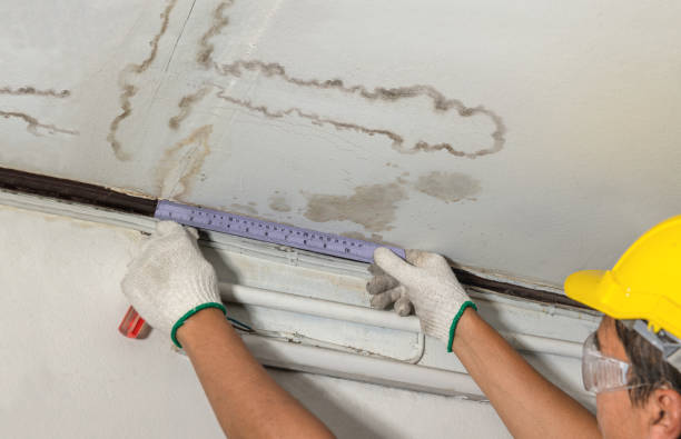 Reliable Water Damage contractor in Nevada, MO by Water Damage Irwin